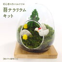 【樹の下の動物たち】苔テラリウム 苔リウム コケリウム 盆栽 苔 手作り キット 巣ごもり おうち時間 ガーデニング 観葉植物 園芸 癒し ギフト 誕生日 プレ...