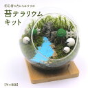 苔テラリウム 苔リウム コケリウム 盆栽 苔 手作り キット 巣ごもり おうち時間 ガーデニング 観葉植物 園芸 癒し ギフト 誕生日 プレゼント 初心者 スターターキット