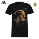 メッシ アルゼンチン代表 ゴート グラフィックTシャツ 22/23 2022 2023 ユニフォーム柄 半袖 adidas アディダス アパレル 正規品