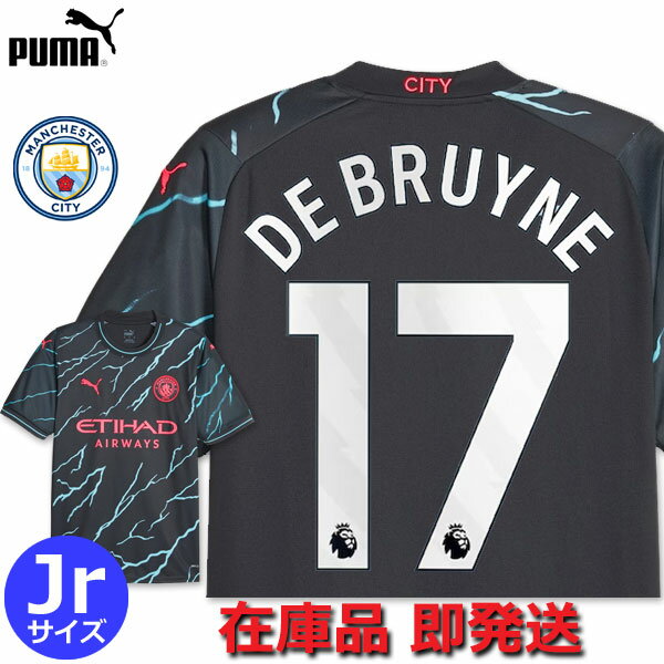 ǡ֥饤17֥ޥƥ˥եॵ23/2420232024å˥PUMA¨ȯб