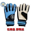 マンチェスターシティ ゴールキーパーグローブ 手袋 GK プレゼント アパレル 即発送対応商品