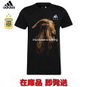 メッシ アルゼンチン代表 ゴート グラフィックTシャツ 22/23 2022 2023 半袖 adidas アディダス アパレル 正規品 即日発送対応