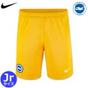ナイキ ブライトン ユニフォーム パンツ ショーツ アウェイ 24/25 2024 2025 キッズ ジュニア NIKE 正規品