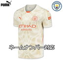 【数量限定】プーマ マンチェスターシティ ゴールキーパー ユニフォーム GK 24/25 2024 2025 半袖 PUMA 正規品 サッカー