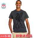 リバプール Tシャツ リヴァプール Liverbird Tee オフィシャル 公式グッズ 即発送対応商品