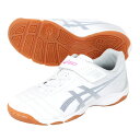 アシックス JUNIOLE 6 IN ジュニア用 フットサルシューズ 屋内用 asics 1104A044-105