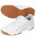 アシックス JUNIOLE 6 IN ジュニア用 フットサルシューズ 屋内用 asics 1104A044-122