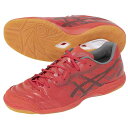 アシックス DESTAQUE K FF デスタッキ 大人用 フットサルシューズ インドア用 asics 1111A217-600