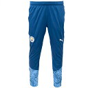 プーマ 23-24 MCFC マンチェスターシティ TR パンツ 大人用 サッカー トレーニングパンツ puma 772864-06