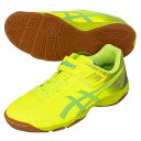 アシックス JUNIOLE 6 IN ジュニア用 フットサルシューズ 屋内用 asics 1104A044-752