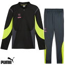 プーマ キング PRO 1/4 ジップトップ TRパンツ 大人用 サッカー トレーニングウェア 上下セット puma 658906/658889