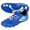 アンブロ アクセレイター RB JR WIDE HG GR ジュニア用 サッカースパイク umbro UU4XJA02BL