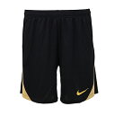 ナイキ Dri-FIT ストライク ショート KZ 大人用 サッカー プラクティスパンツ NIKE FN2402-011