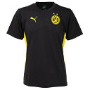 プーマ 24-25 BVB ドルトムント トレーニングSSシャツ 大人用 サッカー プラクティスシャツ 半袖 puma 777606-02