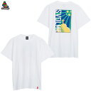 スボルメ GO! GO! BRAZIL T 大人用 サッカー フットサル 半袖Tシャツ SVOLME 1224-14900