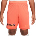 ナイキ EH Dri-FIT アカデミー25 ショート ジュニア用 サッカー プラクティスパンツ NIKE HJ3835-643