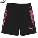 プーマ INDIVIDUALCUP ショーツ 大人用 サッカー プラクティスパンツ puma 660205-07