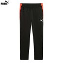 プーマ INDIVIDUALLIGA TR パンツ 大人用 サッカー トレーニングパンツ puma 660209-07