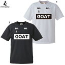 サッカージャンキー SJGOAT second DryTEE 大人用 サッカー フットサル プラクティスシャツ 半袖 soccer junky SJ24E51