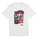 プーマ 24-25 ACM ACミラン FTBLNRGY+ シャツ 大人用 サッカー 半袖Tシャツ puma 779333-13