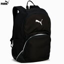 プーマ TEAMFINAL バックパック II 45L サッカー リュック puma 091599-01