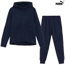 プーマ PUMAFTBL TRAVEL フーデット&パンツ 大人用 サッカー トレーニングウェア 上下セット puma 660131/660133