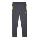 プーマ INDIVIDUALCUP TR パンツ 大人用 サッカー トレーニングパンツ puma 660201-08