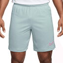 ナイキ Dri-FIT アカデミー25 ショート K BR 大人用 サッカー プラクティスパンツ NIKE HJ3797-395