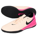 ナイキ ファントム GX 2 アカデミー IC 大人用 フットサルシューズ NIKE FJ2581-800
