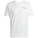 アディダス F50 ヒストリー グラフィック Tシャツ 大人用 サッカー 半袖Tシャツ adidas KRH06-JD8219