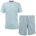 ナイキ Dri-FIT アカデミー25 S/S トップ&ショーツ 大人用 サッカー プラクティス上下セット NIKE HJ3792/HJ3797