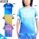 スボルメ Jr 冷感TRトップ ジュニア用 サッカー フットサル 半袖 プラクティスシャツ SVOLME 1252-43600(4)