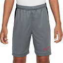 ナイキ YTH Dri-FIT アカデミー25 ショート K 7IN ジュニア用 サッカー プラクティスパンツ NIKE HJ3718-066