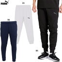 プーマ PUMAFTBL TRAVEL パンツ 大人用 サッカー トレーニングパンツ puma 660133