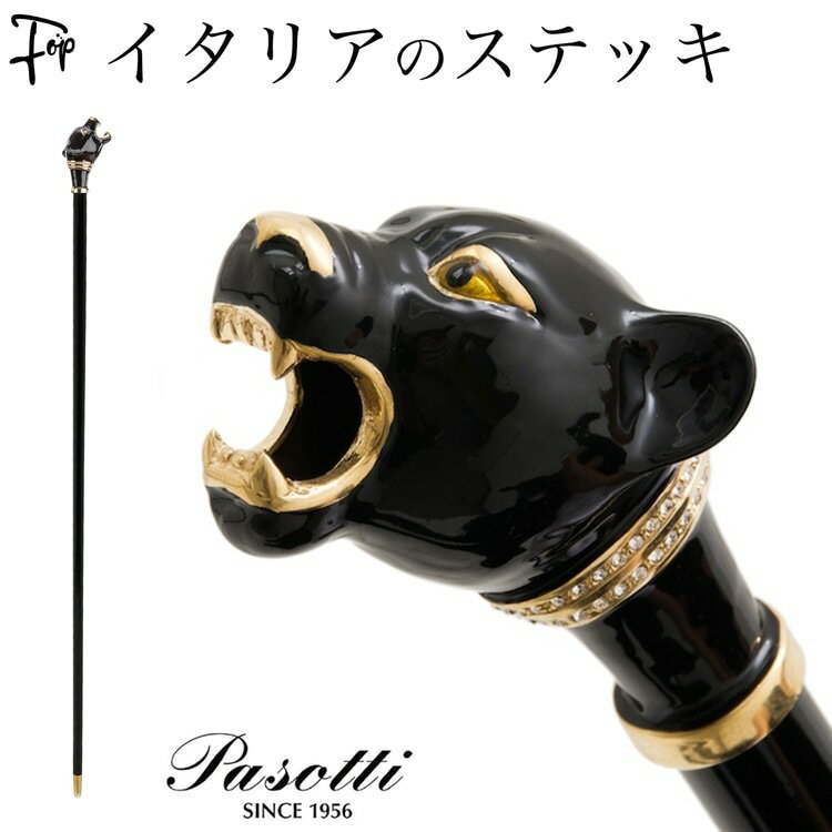 �� ���ƥå� ��� ��� ������ե����� ������� ���ܾ� �֥�å� �ѥ󥵡� �� ɿ ���˥ޥ� �إå� �ϥ�ɥ� �����ҥ祦 �ѥ��åƥ� PASOTTI ��...