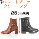 【ライトコース】ショートブーツ クリーニング メンズ レディース 男 女 ブーツ 靴 丸洗い 手洗い 専門店 除菌 消臭 カラーリング 水洗い お手入れ 本革 靴 クリーニング