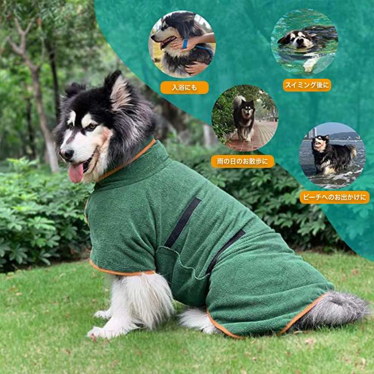 �ڥå��� �Х������� �ɺ� ���ѥХ������� �ۿ�®�� �ޥ������ե����С� Ķ�ۿ� �ڥå��ѥ����� �� ǭ �ο��� ����Ϥ������ �դ�դ� �Ȥ��� ���� �ڥå� ���� ǭ�ȸ����� �ۼ��� ���� ������ �Х����� �Хå��ѥå��� ������ �ϥ����� �ҳ� ����� �ɺ���