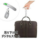 荷物 旅行はかり LCC用 デジタル はかり 計量 器 携帯式デジタル スケール ステンレス仕上げ 最大50kgまで量れる 吊り下げ式ラゲッジチェッカー 旅行 アウトドア ホームに最適の秤 便利 軽量 風袋引き機能付