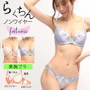 ブラジャー ナイトブラ ノンワイヤーブラ ワイヤレスブラ 大人の女性の セット かわいい ノンワイヤー ショーツ Aカップ AAカップ 小胸 パープル アイボリ...