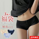 残り3L~5Lサニタリーショーツ3枚入福袋 サニタリー 3着セット レディース 生理パンツ 下着 インナー 福袋 下着福袋 ショーツ セット 2021 人気