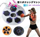 【新発売限定記念価格!】音楽ボクシングマシーン スマートミュージック ライト付き ボクシングトレーニング機器 壁掛けパンチングパッド 大人の子供用屋内フィットネ...