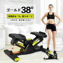 【新発売限定記念価格!】ステッパー ツイスト エアロステッパー くびれ ウエスト ダイエット 器具 健康器具 フィットネス トレーニング コア ステップ台 お腹...