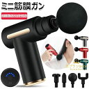 【限定記念価格!】筋膜リリースガン 筋膜リリース ミニ 筋肉運動補助器具 ハンディガン 小型 軽量 携帯便利 筋膜ガン きんまくリリース電動ガン 筋膜はがし 全身リフレッシュ道具 誕生日 プレゼント 父の日 母の日 4種類のヘッド付き コンパクト トレーニング