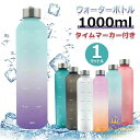 【限定記念価格!】ウォーターボトル 水筒 1000ml 1リットル 軽量 モチベーション測定 時間と量付き BPAフリーのつや消しプラスチック ねじ込みステンレス製の蓋 ジム スポーツ フィットネス 仕事用 タイムマーカー付き 透明 水筒 ミント