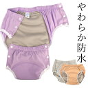 S-Lサイズ 防水 重ね着やおむつカバーとしても使える やわらか吸水ショーツ ふわっと柔らかよく伸び 大きな吸収帯 ちょいもれ ちょい漏れ対策 失禁パンツ レデ...