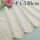 ハンドメイドやリメイクに スカラップレース ハギレ 540cm 21.5cm幅 小花 花柄 薄地生地 パンチ レース生地 刺繍 生地 布 片スカラップレース 裁...