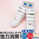 靴 スニーカー 消臭 除湿 【5足分】 足の臭い ニオイ ムレ カビ 対策 繰り返し使える 日本製 シューズ用 送料無料 ネコポス 強力消臭&除湿シート 2枚入...
