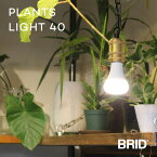 PLANTS LIGHT 40 電球 植物 育成 ライト 40W相当 白色 暖色 生長 促進 LED 太陽光 波長 自然 明るい グリーン 観葉植物 光合成 赤外線 紫外線 X線 光 5W 420lm 450lm おしゃれ アクアリウム テラリウム ハーブ プランツライト プラント送料無料 室内 インテリア