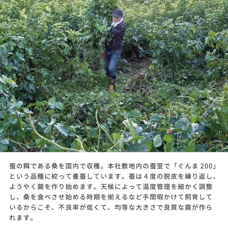 上州絹屋 シルキーピローカバー シルク 100 % 絹 日本製 天然素材 薬剤不使用 高級 セリシン アミノ酸 シルクプロテイン うるおい 保湿 効果 就寝時 パサつき防止 快適 睡眠 抗菌 ヘアケア— 髪 シンプル おしゃれ アッシュコンセプト ギフト プレゼント [3]