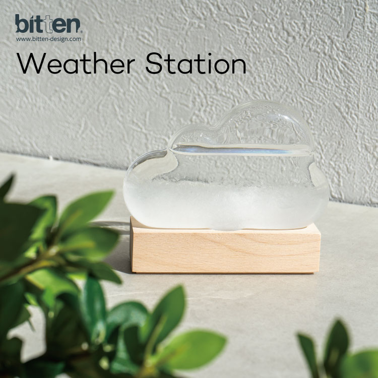 晴雨予報グラス ストームグラス weatherstation 天気予報 ウェザーステーション 結晶 ストームグラス 天気管 bitten ビッテン オブジェ ガラス 変化 置き物 北欧 ギフト プレゼント 贈り物 インテリア オブシェ かわいい おしゃれ ガラスSTORM CLOUD 雲 サボテン ムーン 月